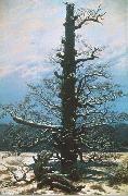 Caspar David Friedrich, The Oak Tree in the Snow